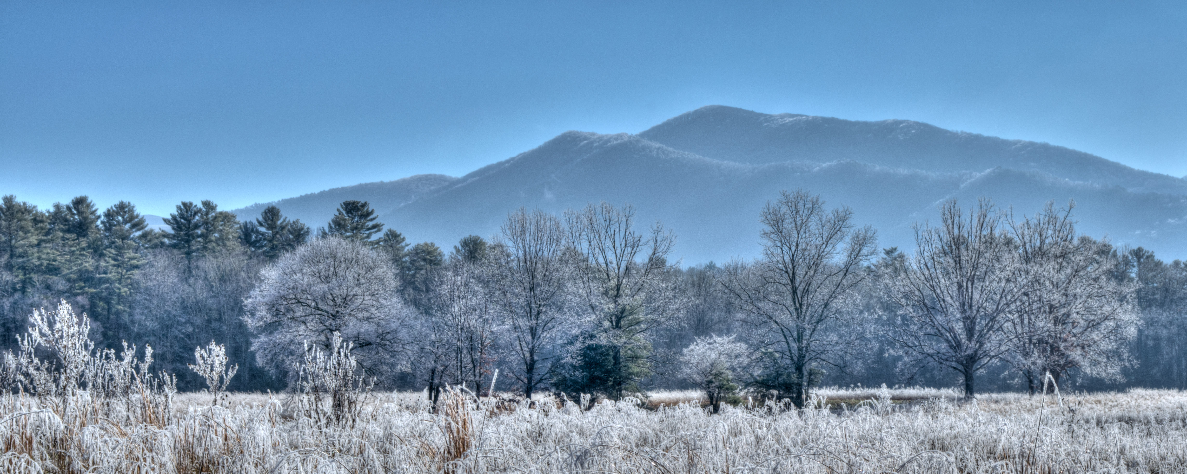 Great Smoky Mountains National Park