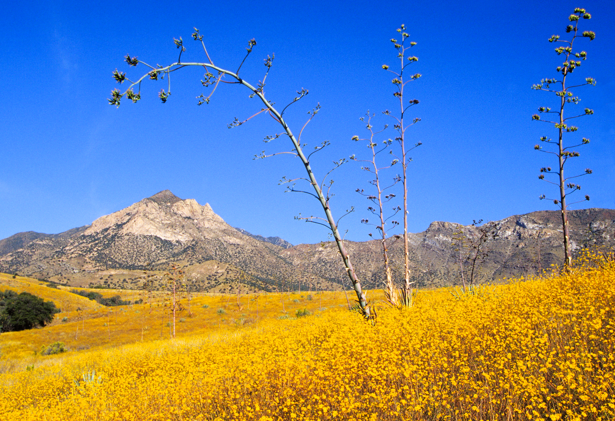 Coronado National Memorial
