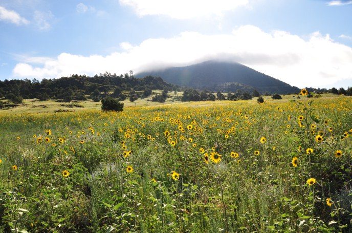 Capulin Volcano National Monument