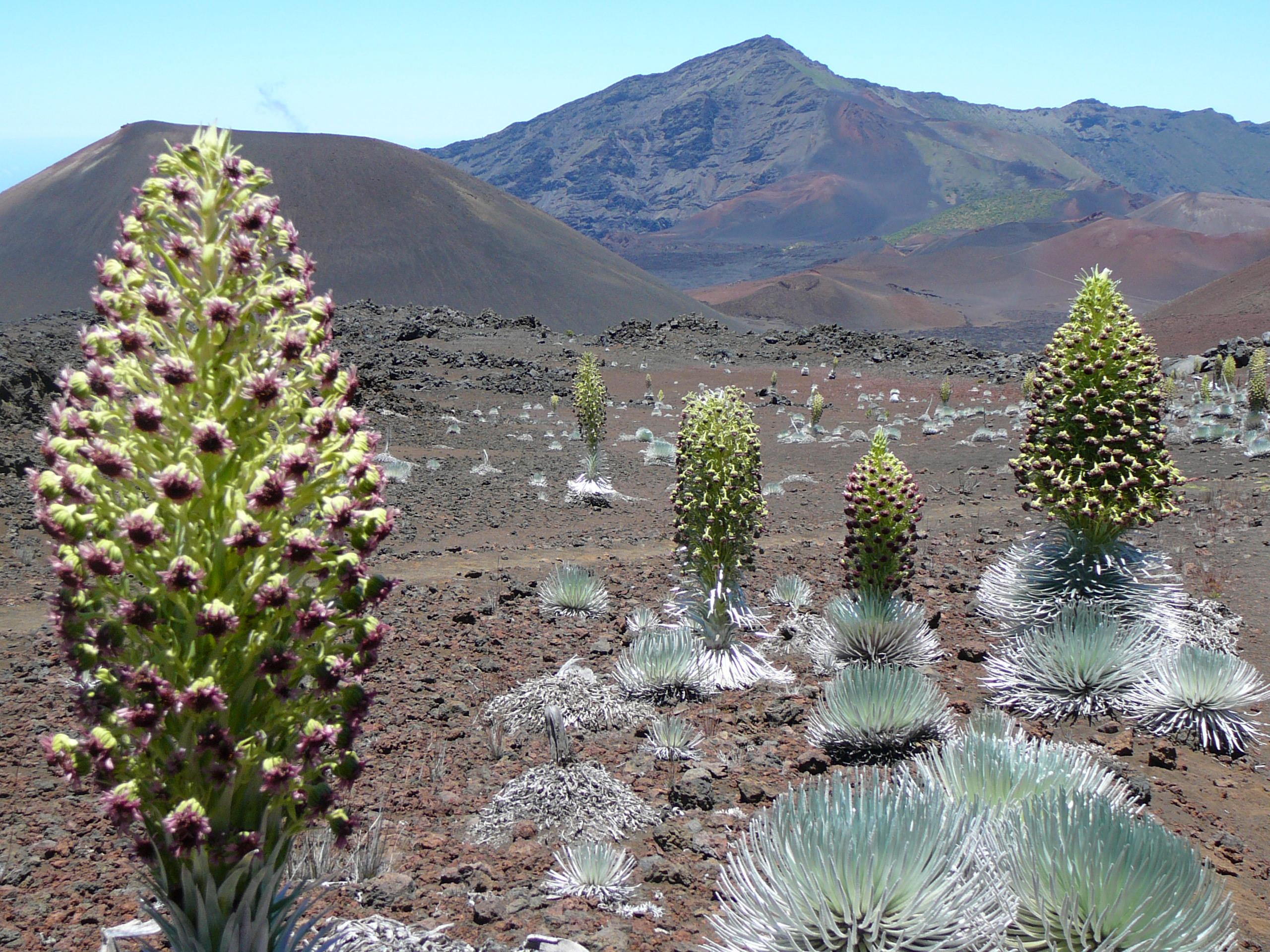 Haleakalā National Park