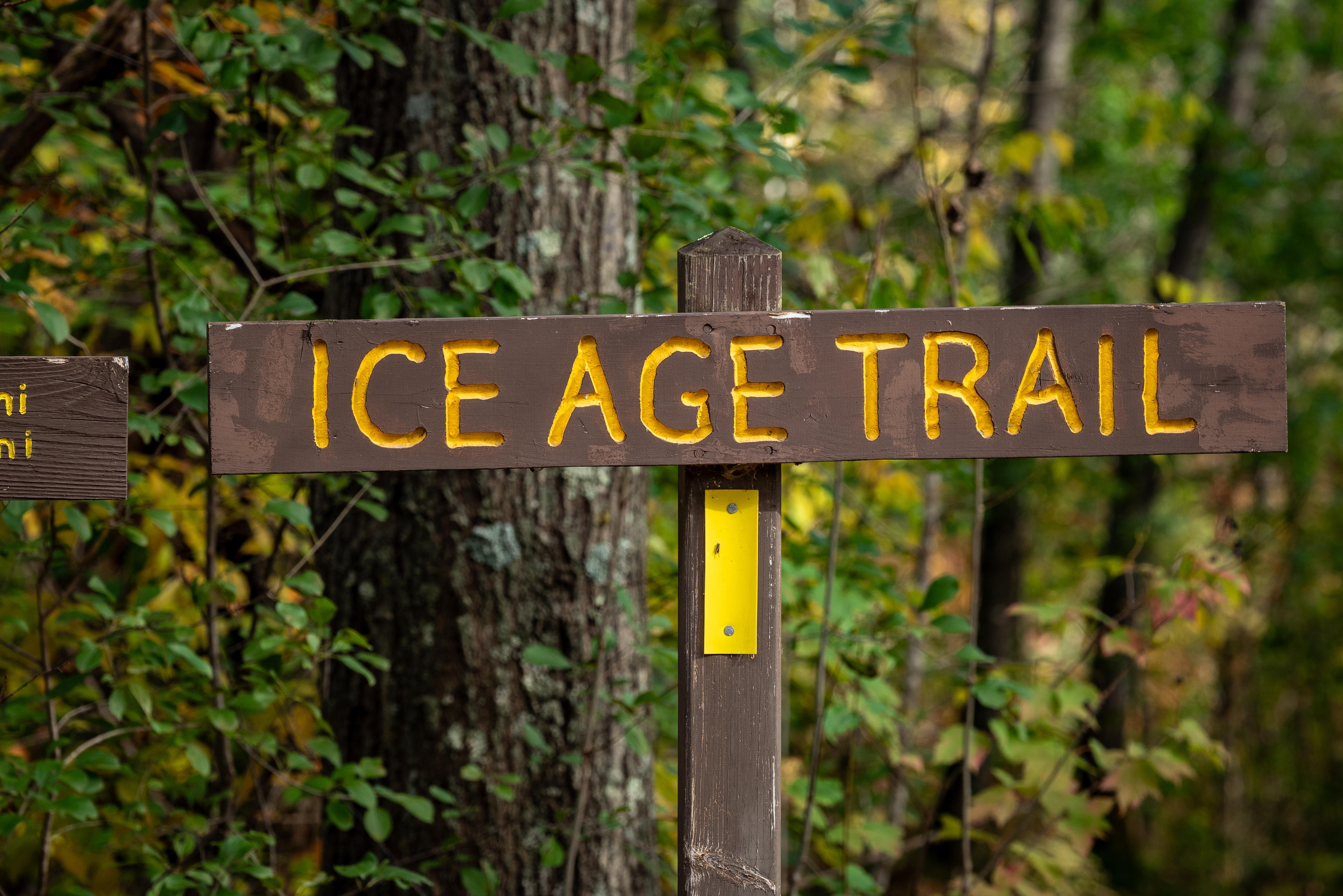 Photograph of “Ice Age Trail” sign surrounded by a forest with autumn foliage.