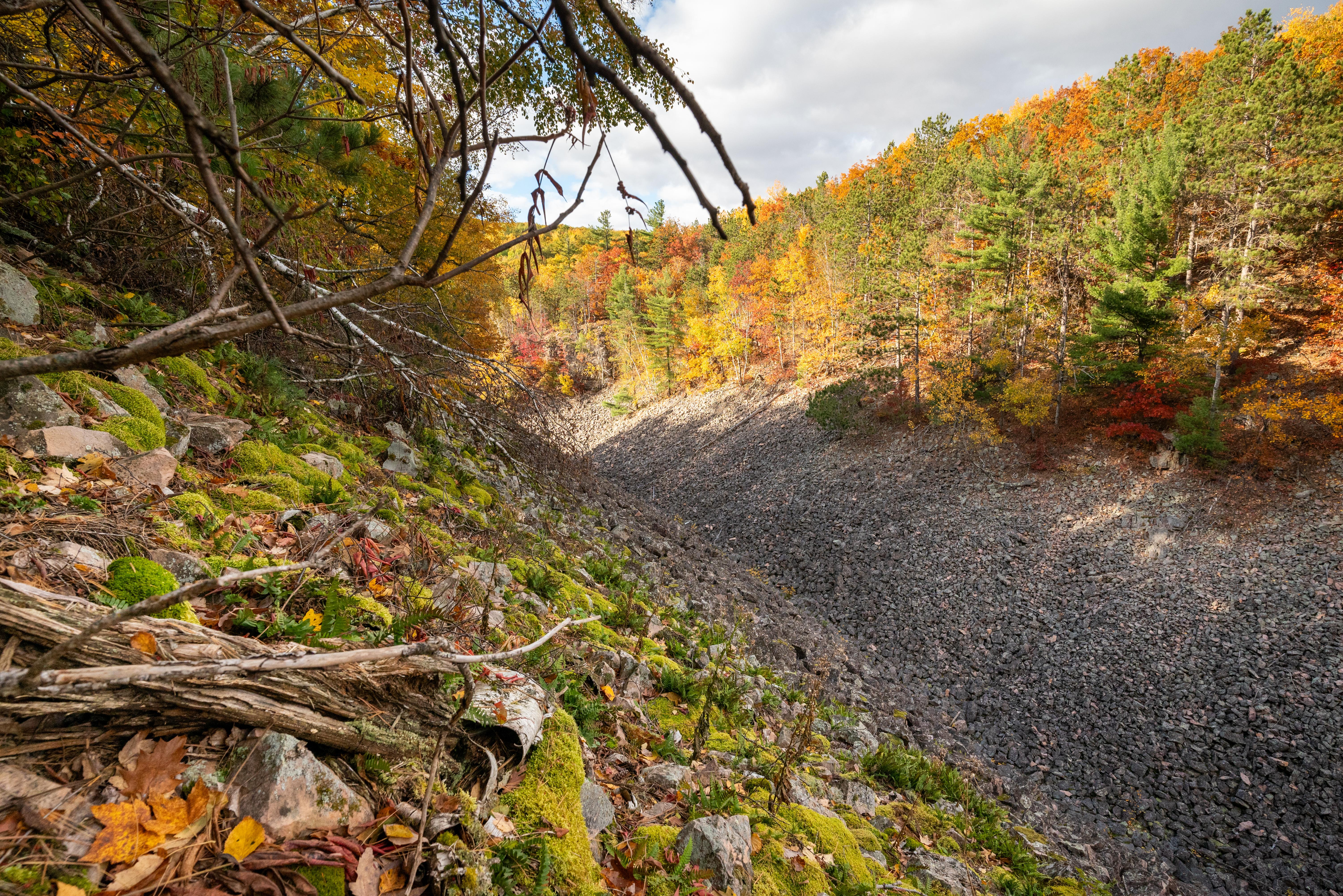 Photograph of a forest scene with a V-shaped boulder-strewn valley.