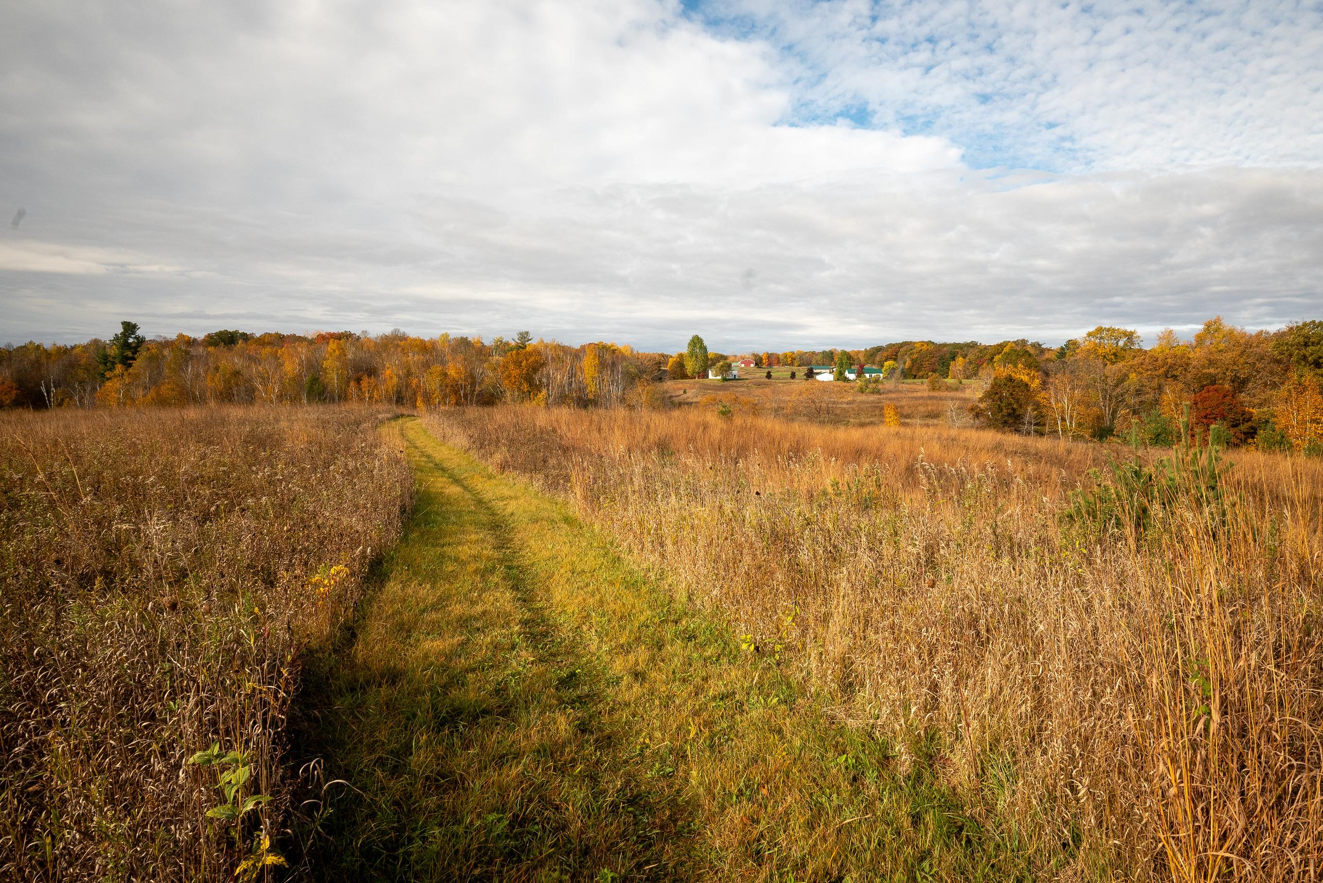 Photograph of an autumn prairie scene with a grassy trail meandering into the distance.