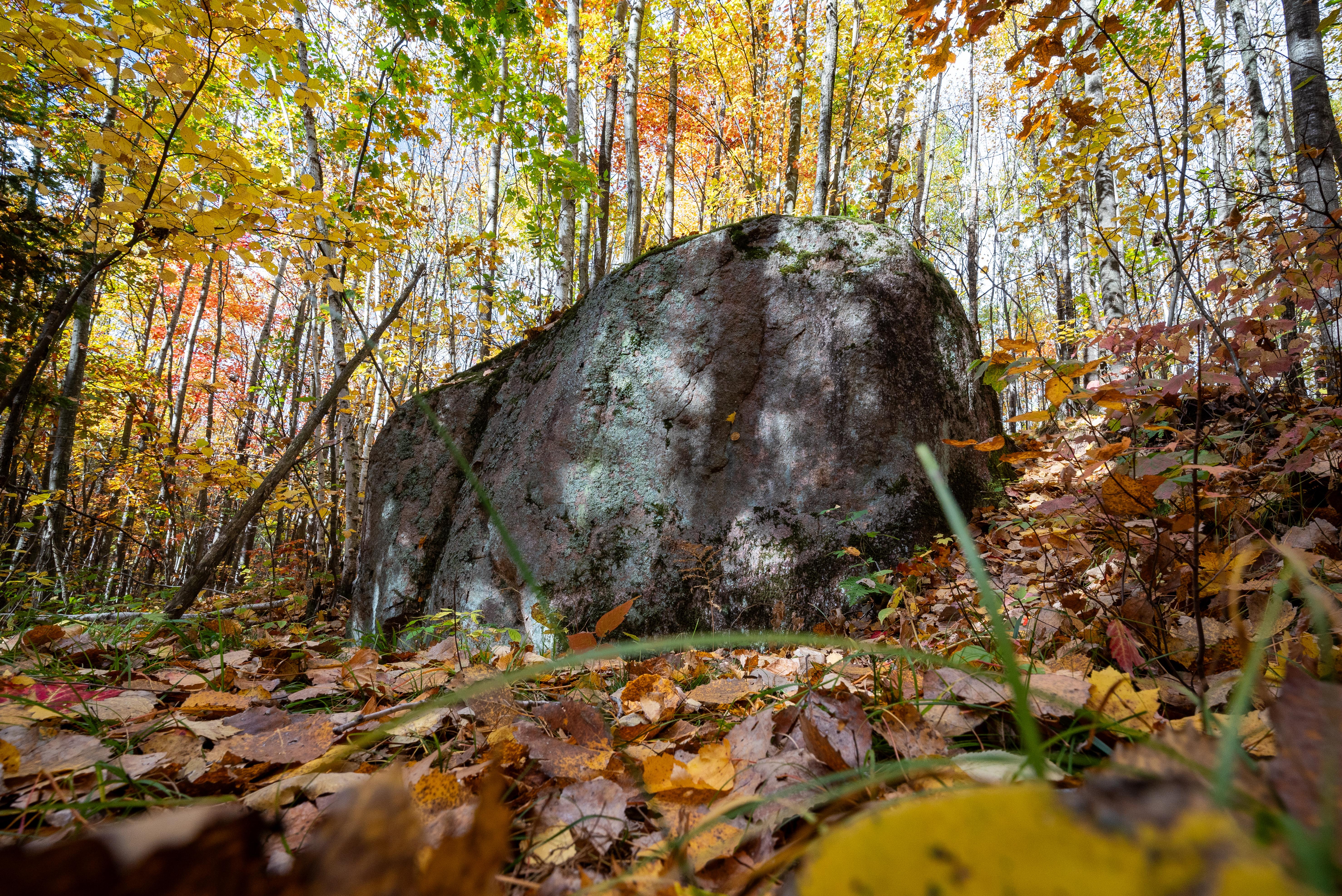 Photograph of a large glacial erratic boulder in autumn with trees covered in colorful foliage and f